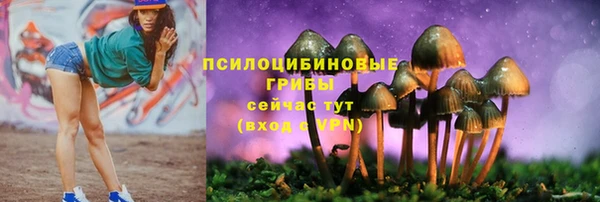 таблы Инсар