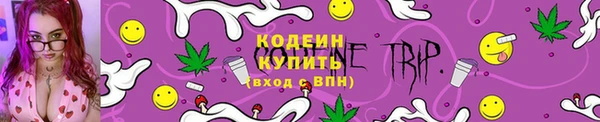 mix Инта