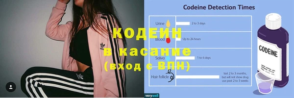 mix Инта
