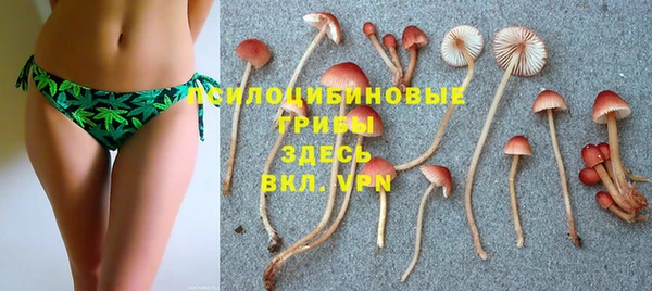 дживик Иннополис