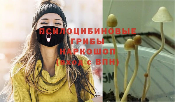 mix Инта